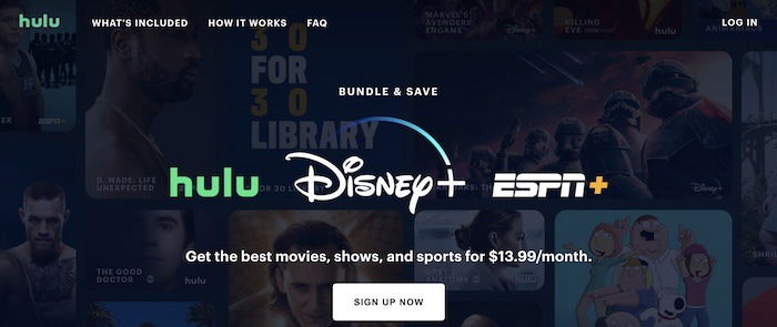 What You Need Disney Plus Bundle