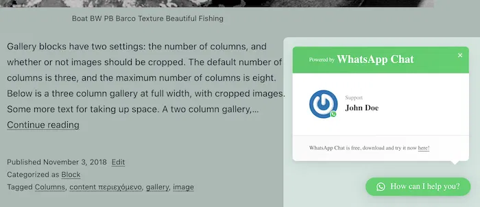 The WhatsApp chat window.