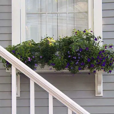 A window box with flowers planted in it.