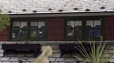 Two window boxes with flowers planted in them.