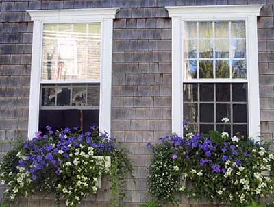 A window box with flowers planted in it.