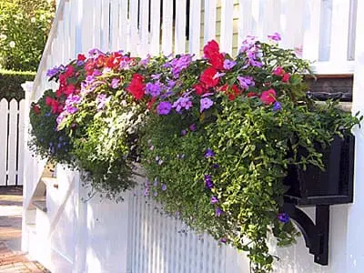 A Planter box with flowers planted in it.