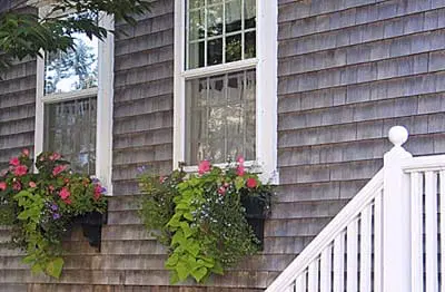 Two window boxes with flowers planted in them.