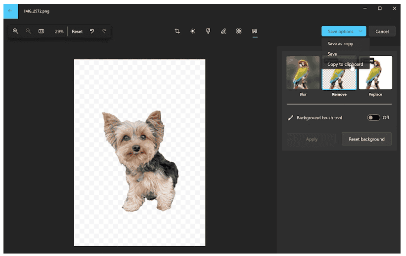 windows photos