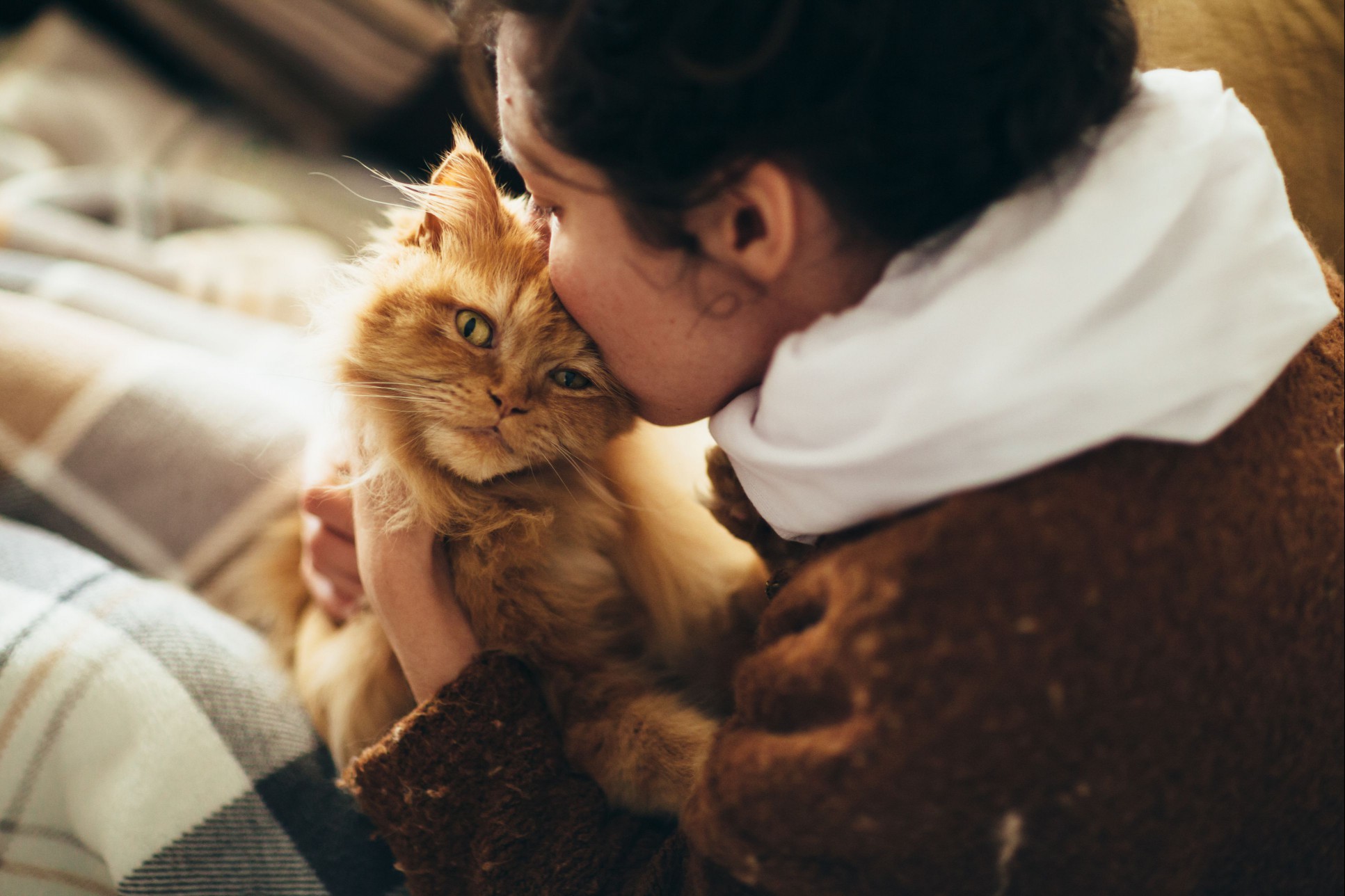 Woman kissing a cat.