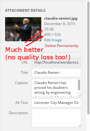 wp-image-optimization-example1
