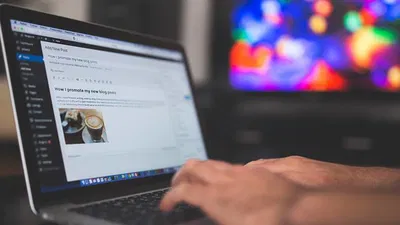 How to Add Custom Style Options to WordPress Post Editor