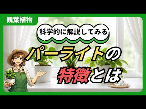 珍珠岩を家庭菜園で使うコツと効果を実例で解説