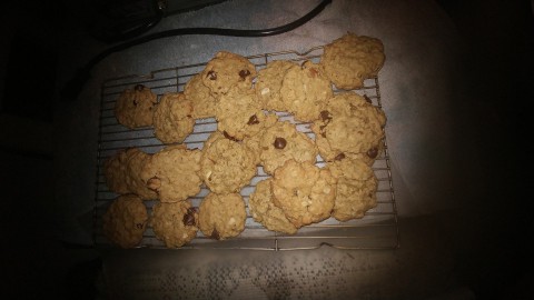 Oatmeal Chocolate Chip Lactation Cookies by Noel Trujillo