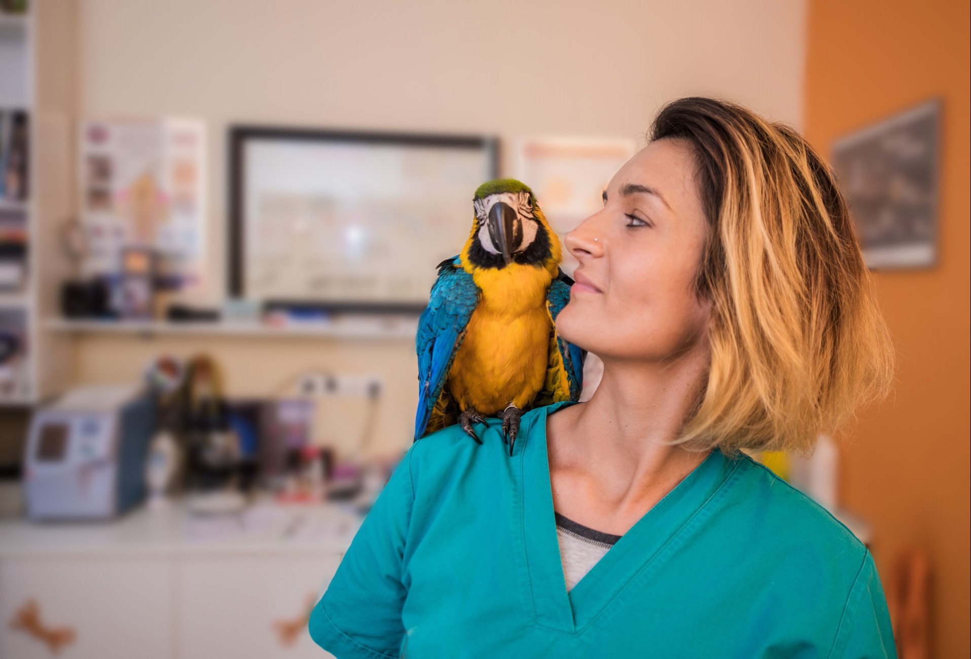 Veterinarian with her Ara friend