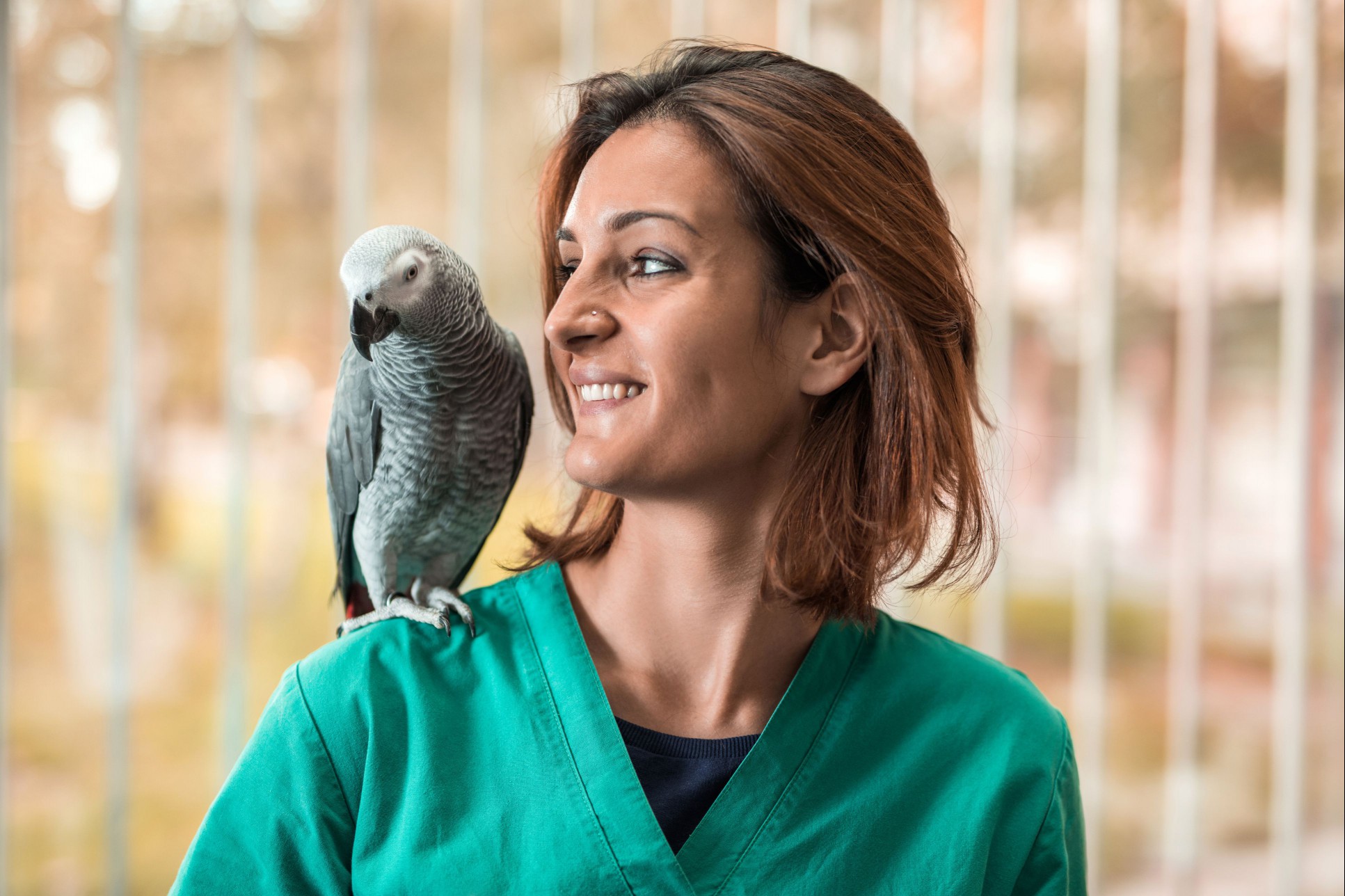 Young happy veterinarian with a parrot on her shoulder.